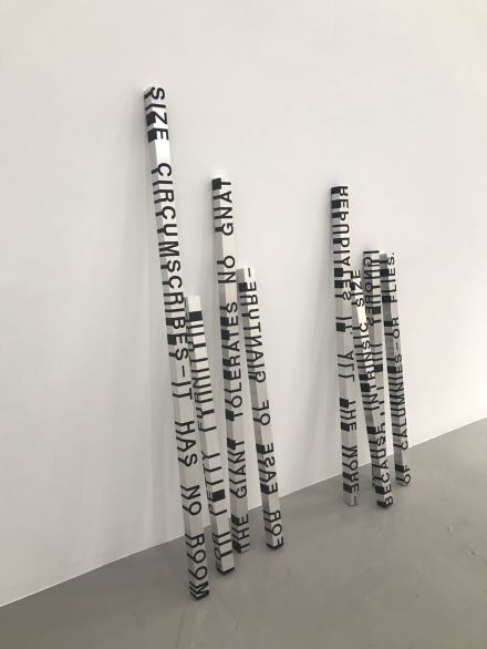 Roni Horn, When Dickinson Shut Her Eyes: NO. 641 SIZE CIRCUMSCRIBES-IT HAS NO ROOM, (1993-2008)