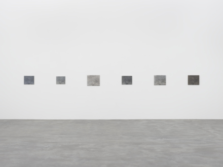 Vija Celmins, A Painting in Six Parts (1986-87/2012-2016)