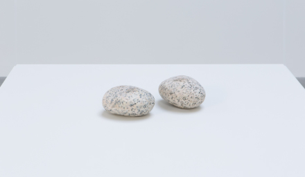 Vija Celmins, Two Stones (1977/2014-2016)