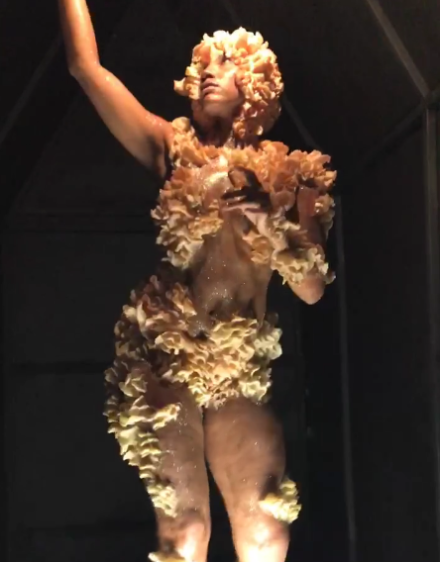A performance to Barbara Tran's Homo Schizophyllum, via Art Observed
