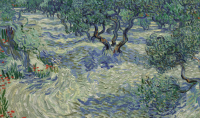 Van Gogh Olive Trees, via Guardian