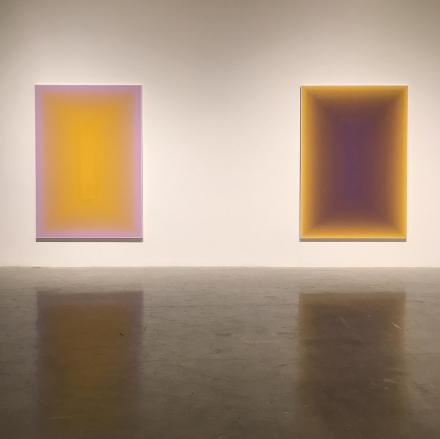 Wang Guangle, Duo Color (Installation View), via Pace