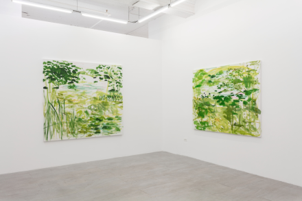 Trevor Shimizu, Landscapes (Installation View), via 47 Canal