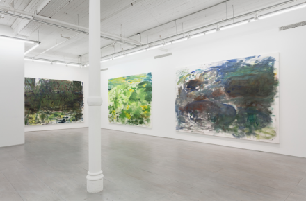 Trevor Shimizu, Landscapes (Installation View), via 47 Canal