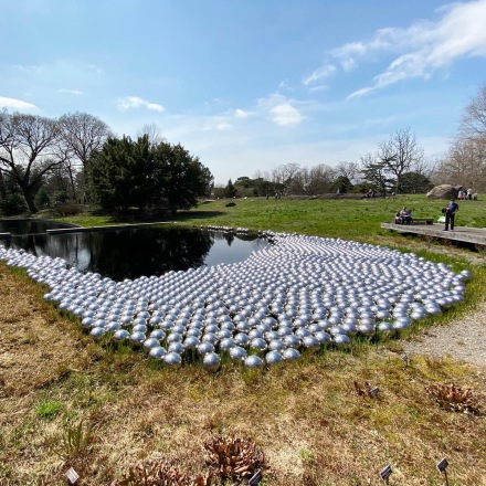 Yayoi Kusama, Cosmic Nature (Installation view), via Art Observed