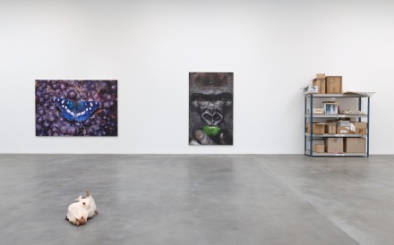 Damien Hirst, Fact Paintings and Fact Sculptures (Installation View), via Gagosian