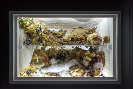 Anne Imhof, Natures Morte (Installation View), via Aleph Molinari for Art Observed
