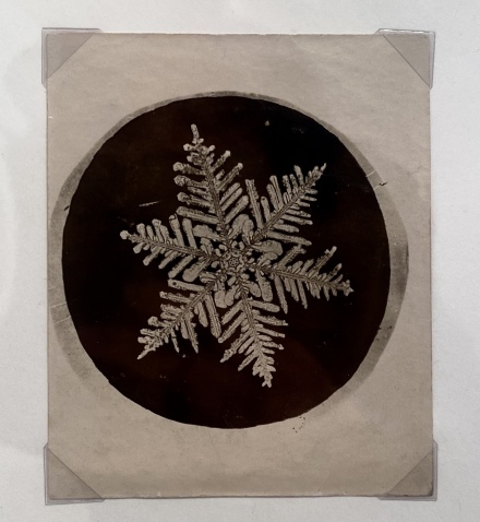 Wilson Bentley, Snowflake 6 (1900), all images via Georgia Suter for Art Observed
