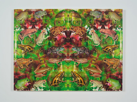 Philip Taaffe, Panel with Larger Frogs (2022), via Luhring Augustine