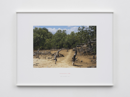 Richard Long, Mangrove Line (2013), via Lisson