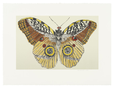 Leidy Churchman, Butterfly Eyes (1) (2023), via Matthew Marks