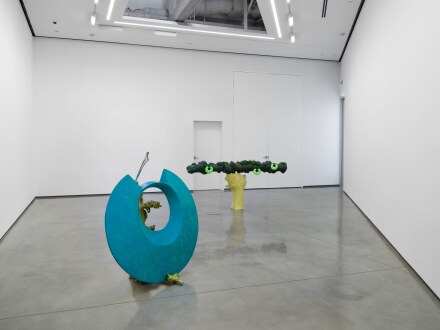 Guan Xiao, From Leaves to Shields (Installation View)